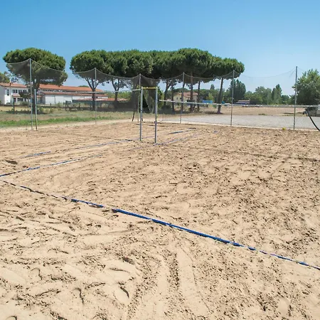 Fiori Di Cardo - Agrimare