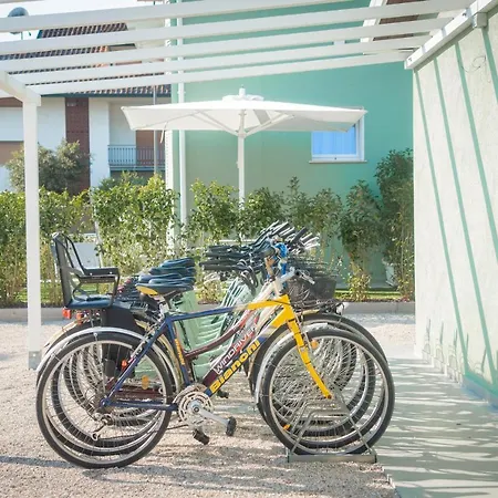 Fiori Di Cardo - Agrimare *