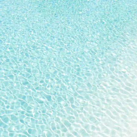 Fiori Di Cardo - Agrimare Τσέρβια