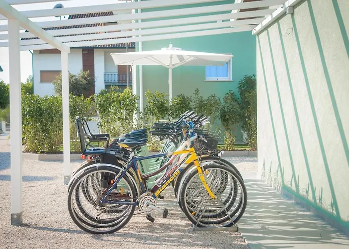 Fiori Di Cardo - Agrimare *