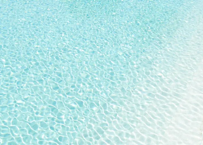 Fiori Di Cardo - Agrimare 체르비아