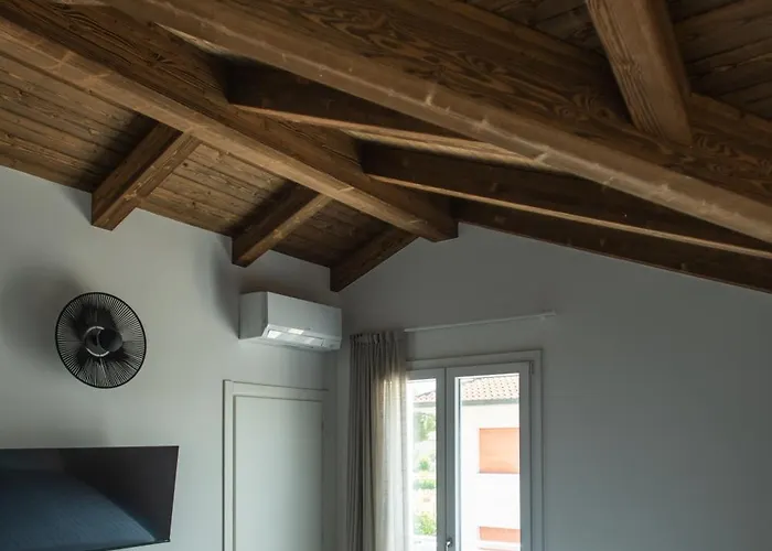 Fiori Di Cardo - Agrimare *