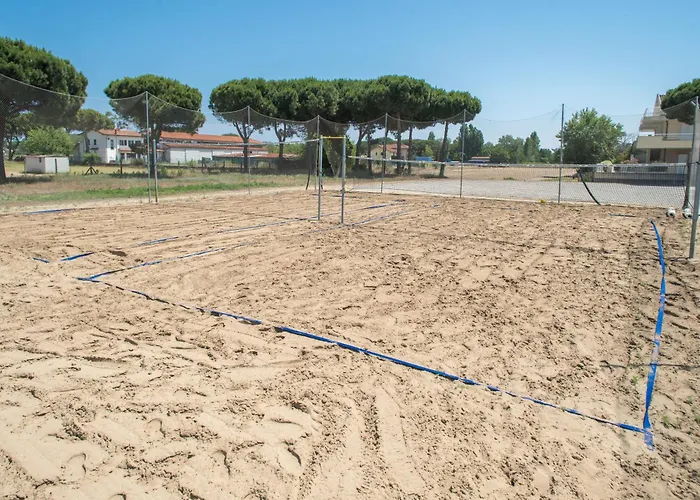 Fiori Di Cardo - Agrimare